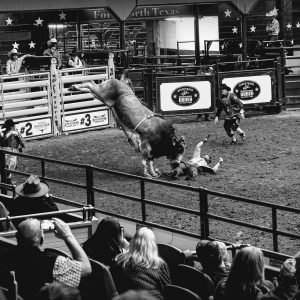 Risque à Stockyards